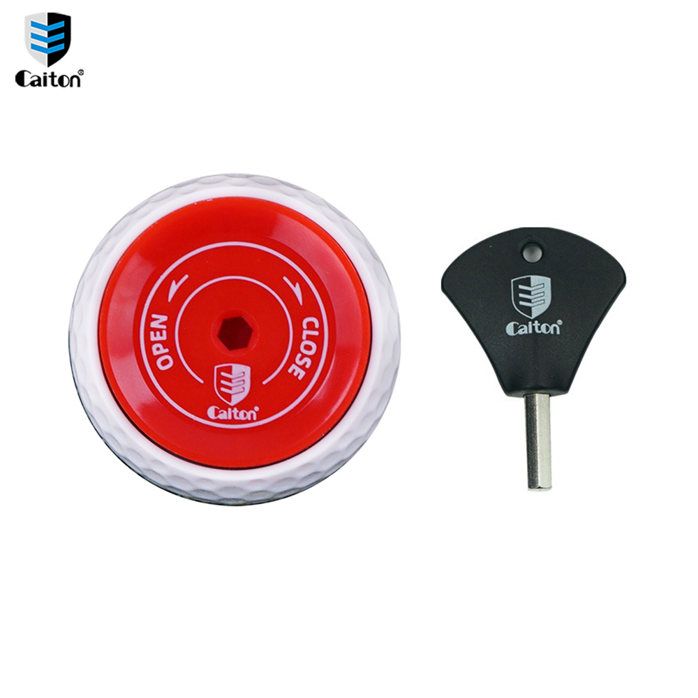 Caiton-bolas de Putting de ent - Golf Ball Premium reseña y precio